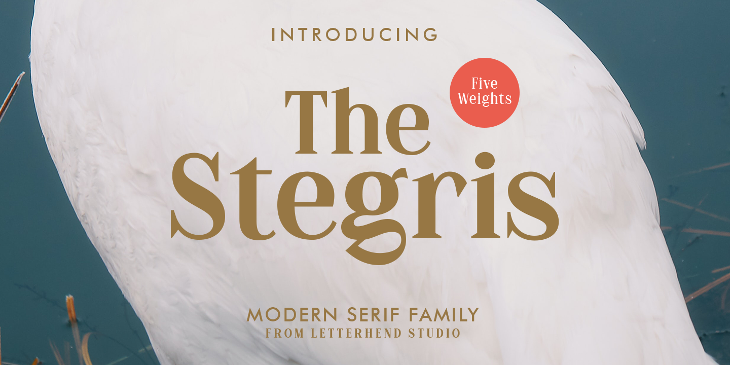 Beispiel einer The Stegris Bold-Schriftart